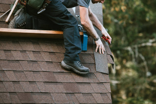 Best Roof Gutter Cleaning  in Kings Mills, OH
